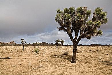 山内一典：《GT赛车7》大型更新即将在本周上线